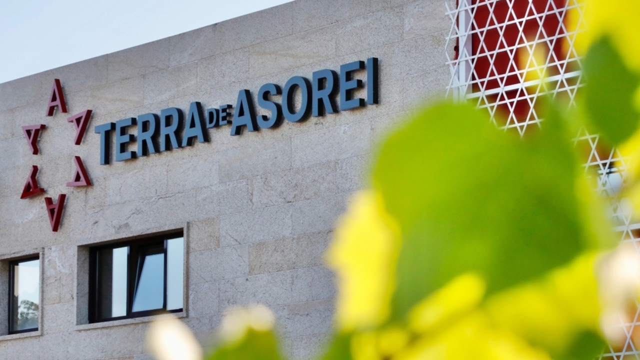 Adegas Terra de Asorei. / Mundiario