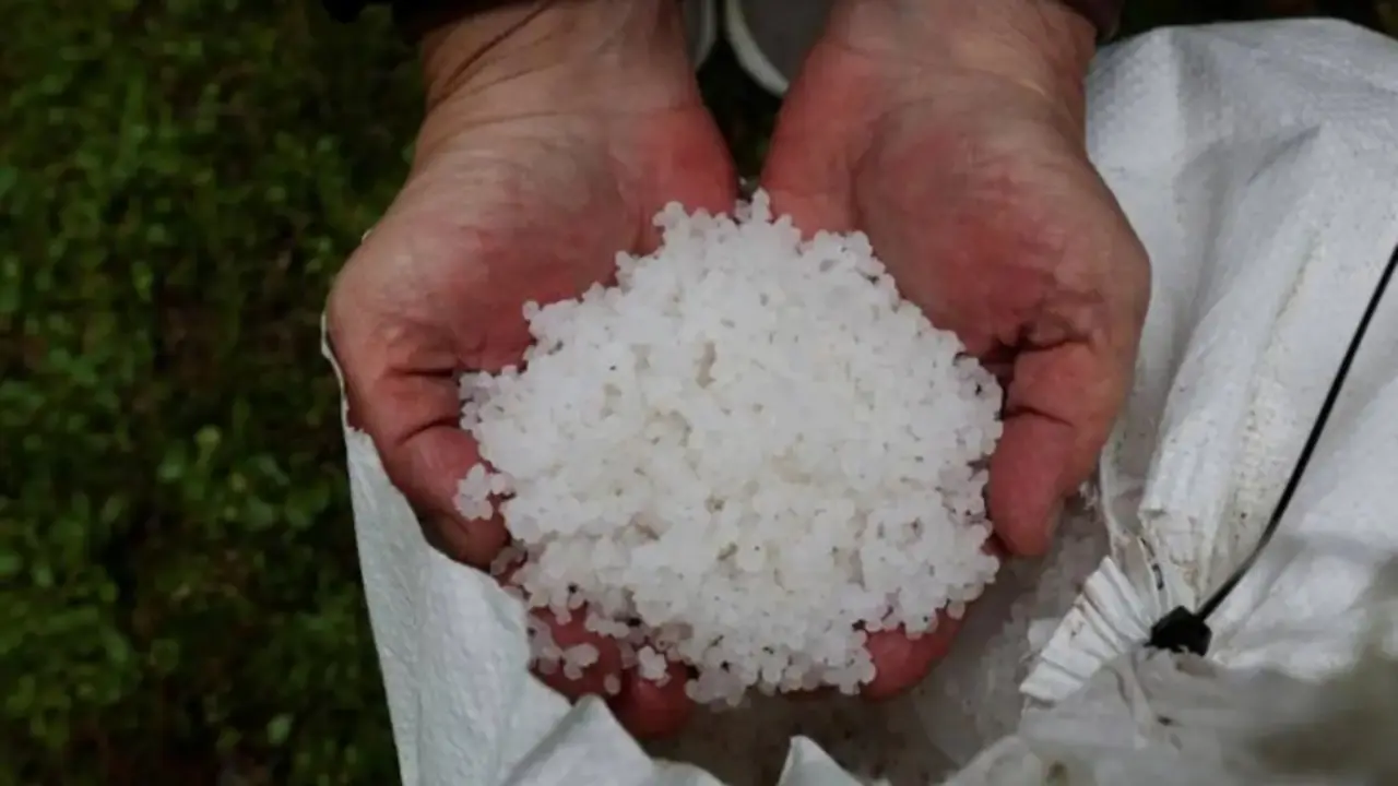 Pellets de pl&aacute;stico aparecidos en las costas gallegas. / RR SS.