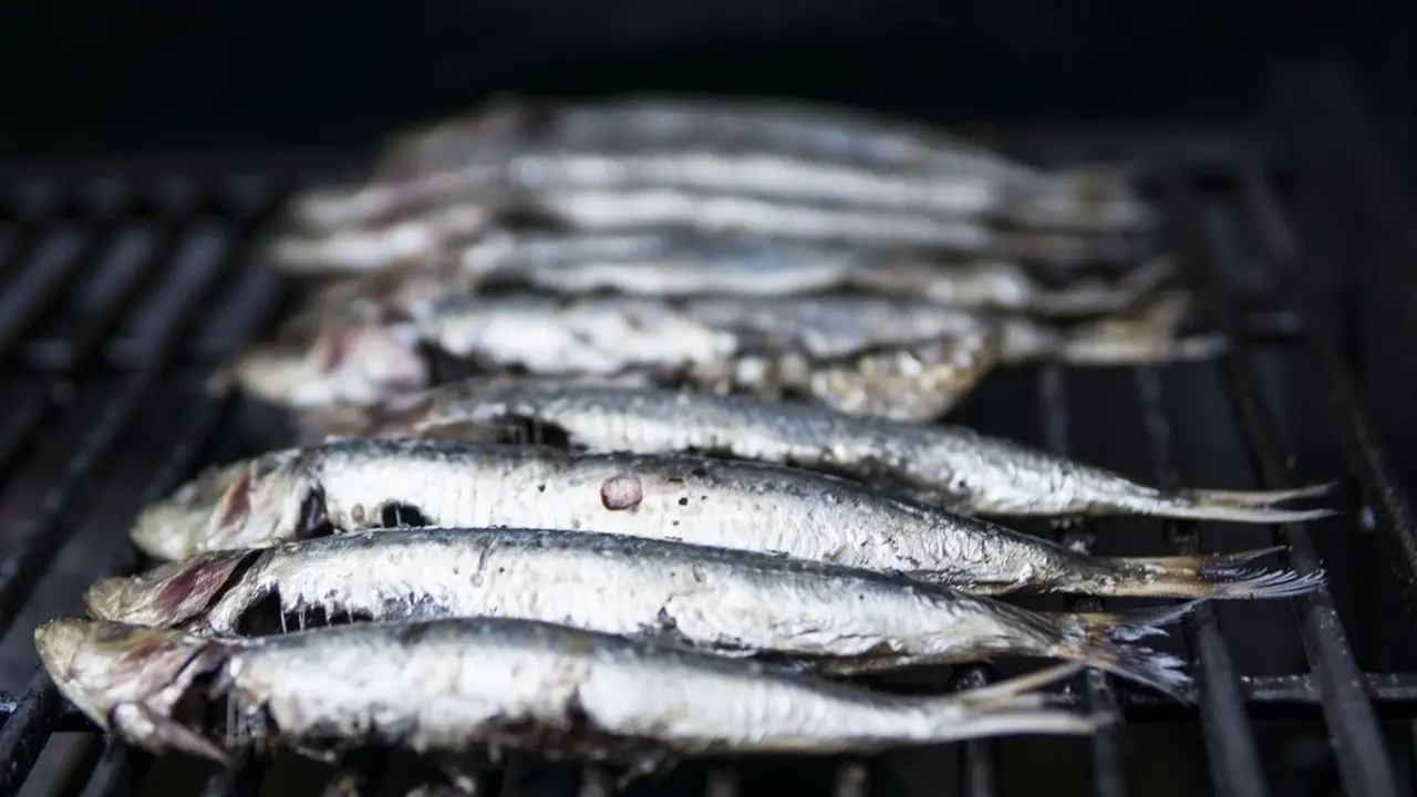 Sardinas. / Elle KH en Pixabay