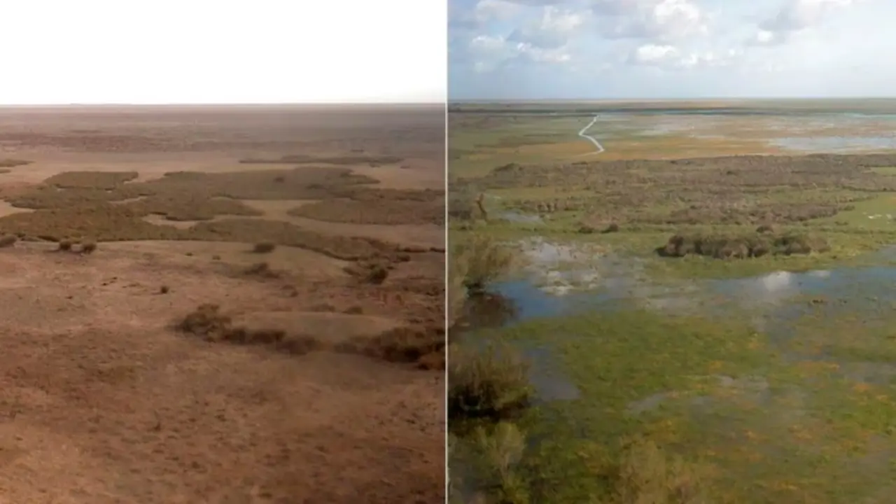 Antes y despu&eacute;s de la vista desde la Torre del Palacio de Do&ntilde;ana, que pertenece al Parque Nacional de Do&ntilde;ana. A la izquierda, en octubre de 2023 y a la derecha, en abril de 2024. / EDB/CSIC.