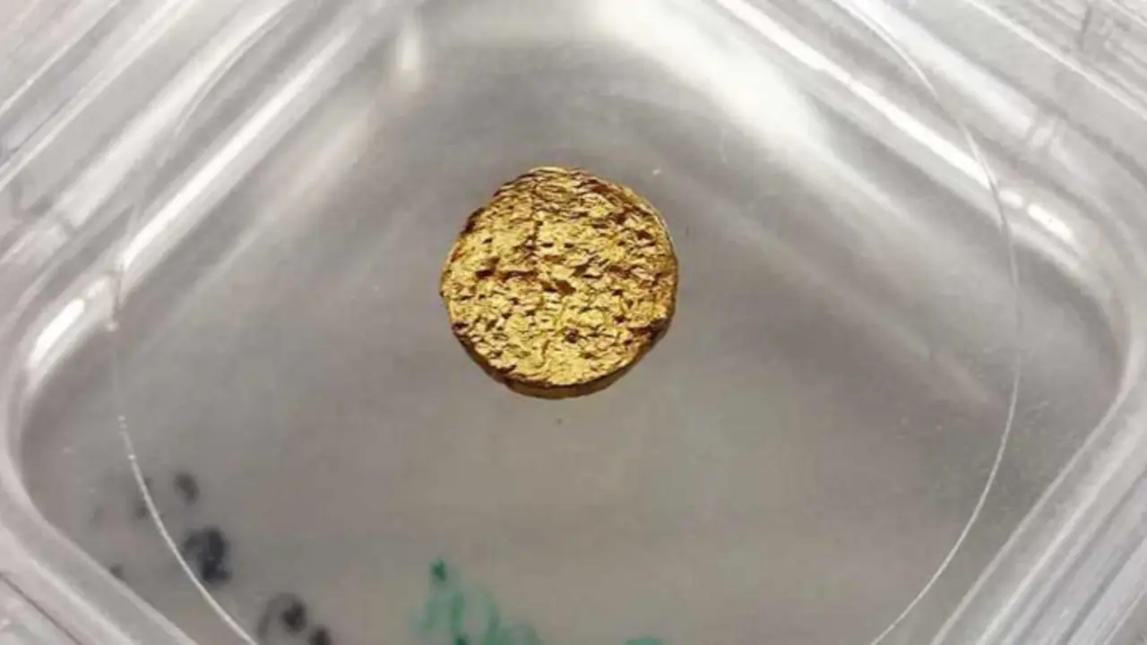 Pepita de oro fundida a partir de la extracci&oacute;n de los iones del metal. RR.SS