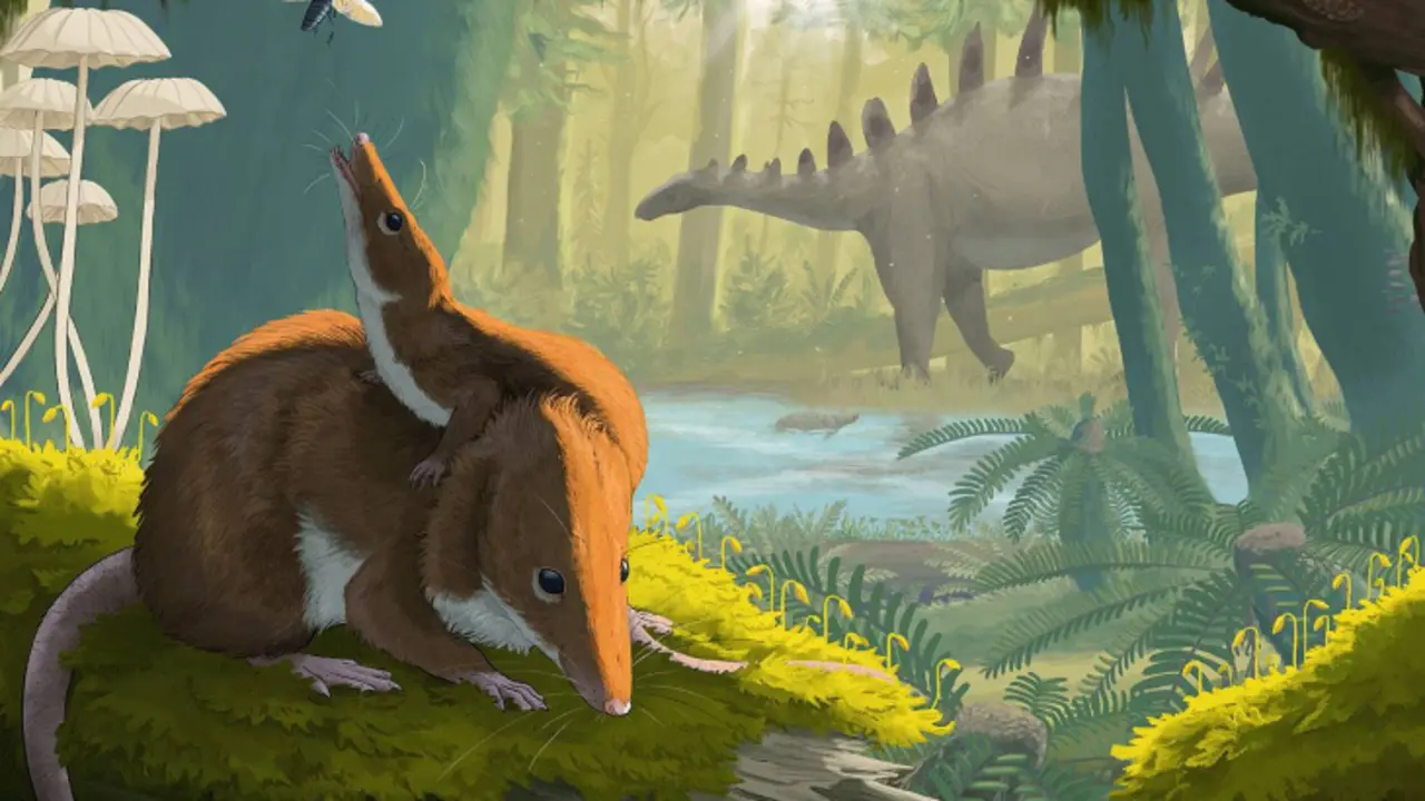Ilustraci&oacute;n art&iacute;stica del mam&iacute;fero Krusatodon kirtlingtonesis. / Duncan McGlynn