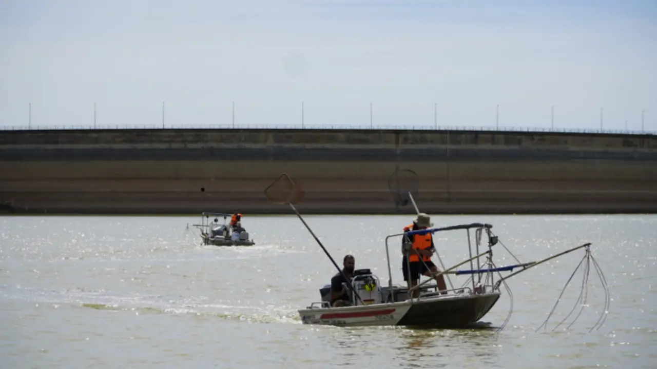 Extracci&oacute;n de peces en el pantano de Mar&iacute;a Cristina (Castell&oacute;n). / Confederaci&oacute;n Hidrogr&aacute;fica del J&uacute;car.