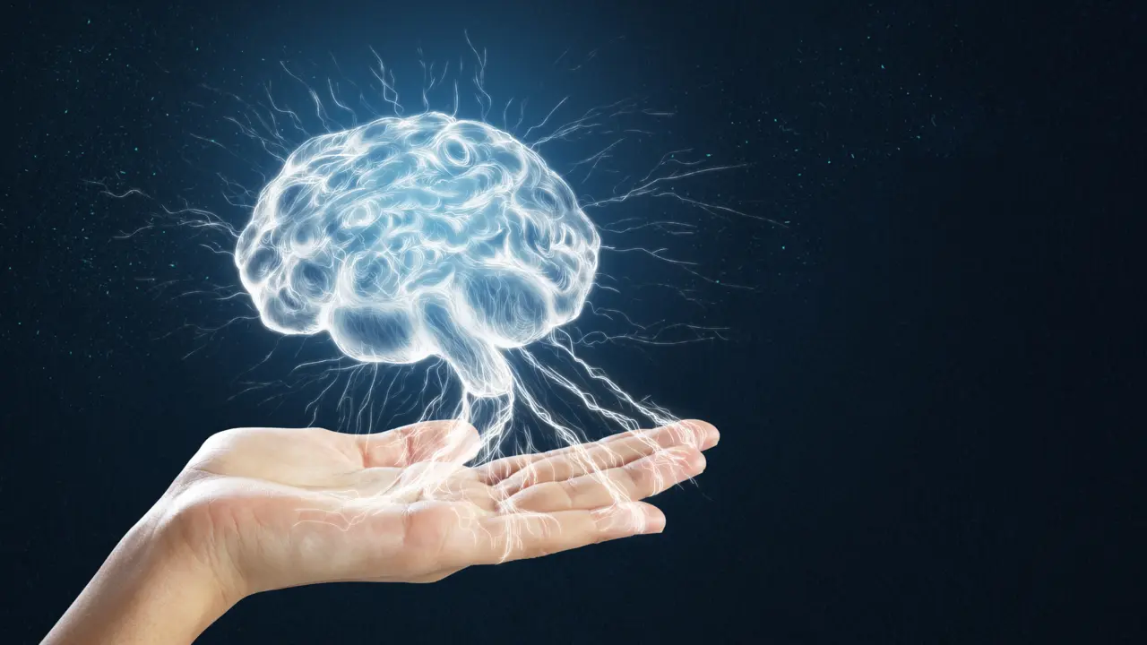Mano y cerebro. / RR SS.