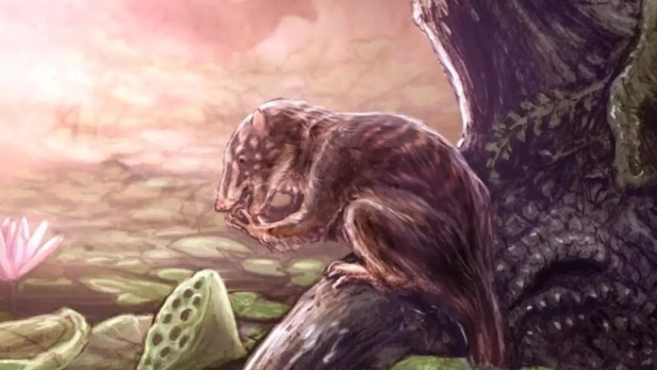 Representaci&oacute;n art&iacute;stica del Heleocola piceanus. /Brian Engh-LivingRelicProductions.com - Museo del Parque Estatal de Historia Natural de Utah Field House