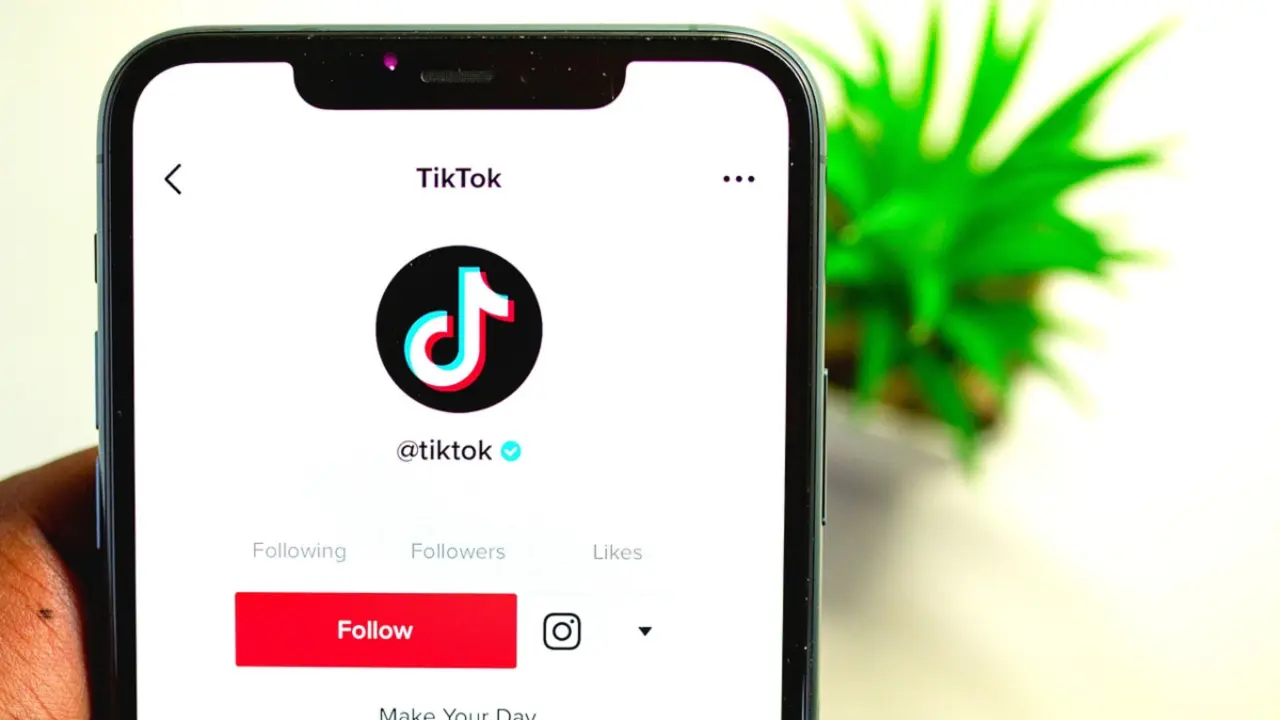 TikTok. / Pixabay.