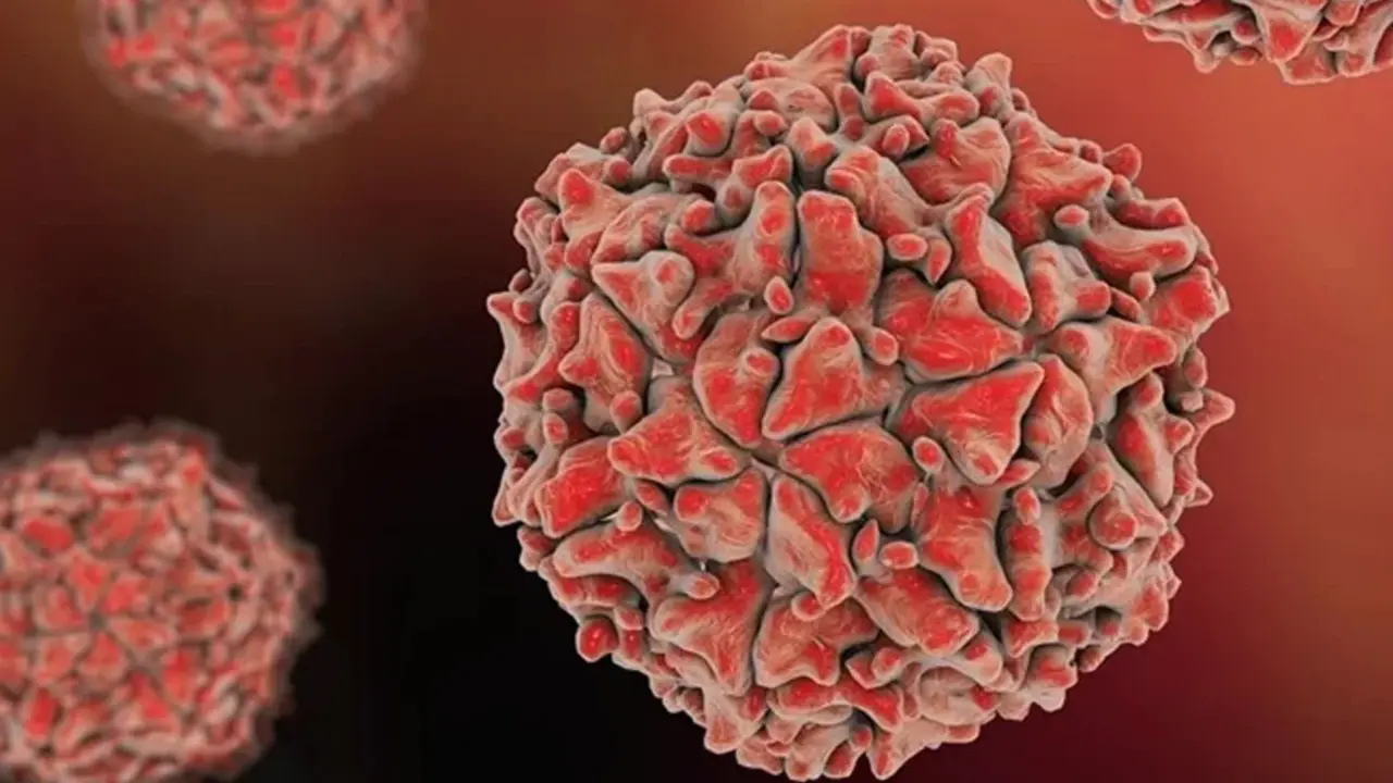 Virus de la polio. / RR SS.
