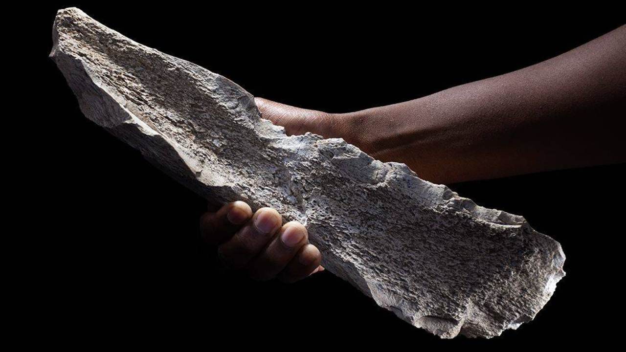 Herramienta de hueso tallada y encontrada en Tanzania. / CSIC
