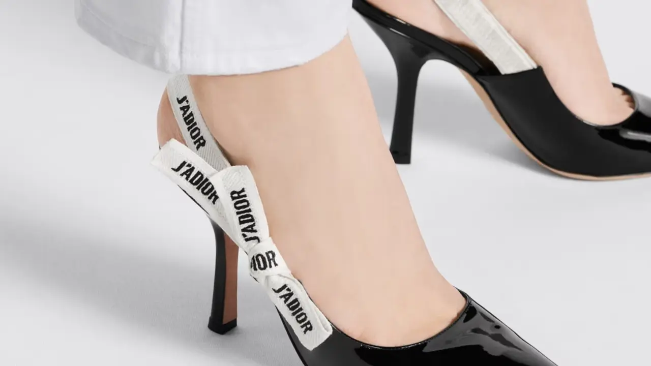 zapatos dior 1