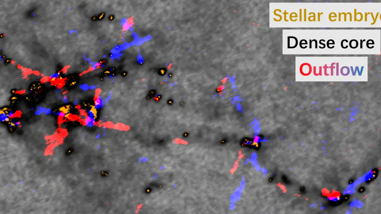Los investigadores descubrieron la existencia de m&uacute;ltiples &ldquo;c&uacute;mulos embrionarios estelares&rdquo; dentro de la Zona Molecular Central de la V&iacute;a L&aacute;ctea. / Observatorio astron&oacute;mico de Shangh&aacute;i (SHAO)