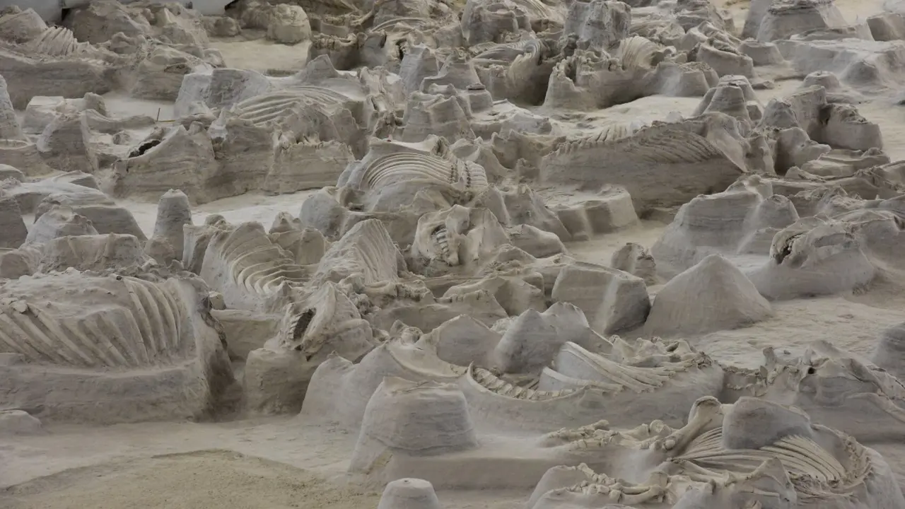 Las cenizas de la erupci&oacute;n de un volc&aacute;n en Yellowstone preservaron m&aacute;s de 100 espec&iacute;menes de un rinoceronte prehist&oacute;rico en el Parque Hist&oacute;rico Estatal Ashfall Fossil Beds de Nebraska. / John Haxby - The University of Nebraska State Museum
