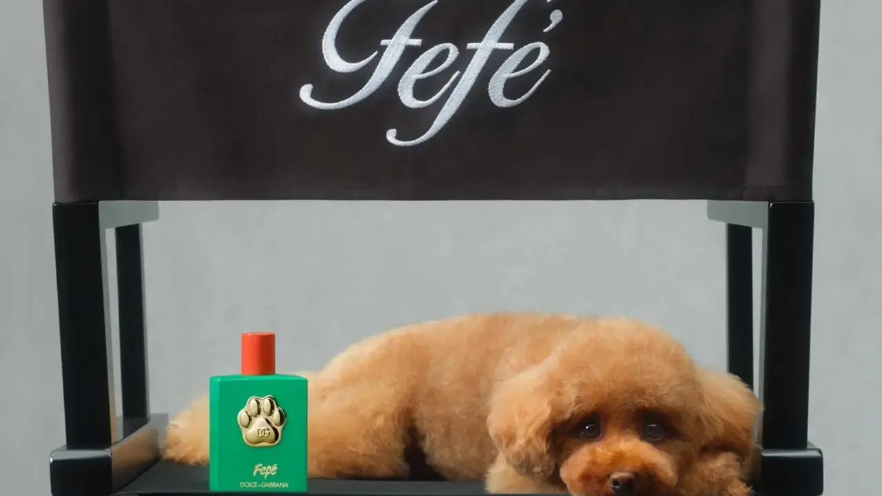 fefe