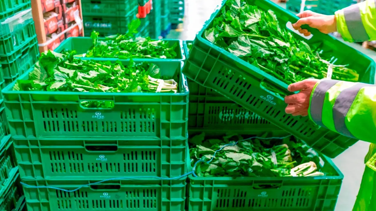 Cajas reutilizables de Gadis. / Gadisa.