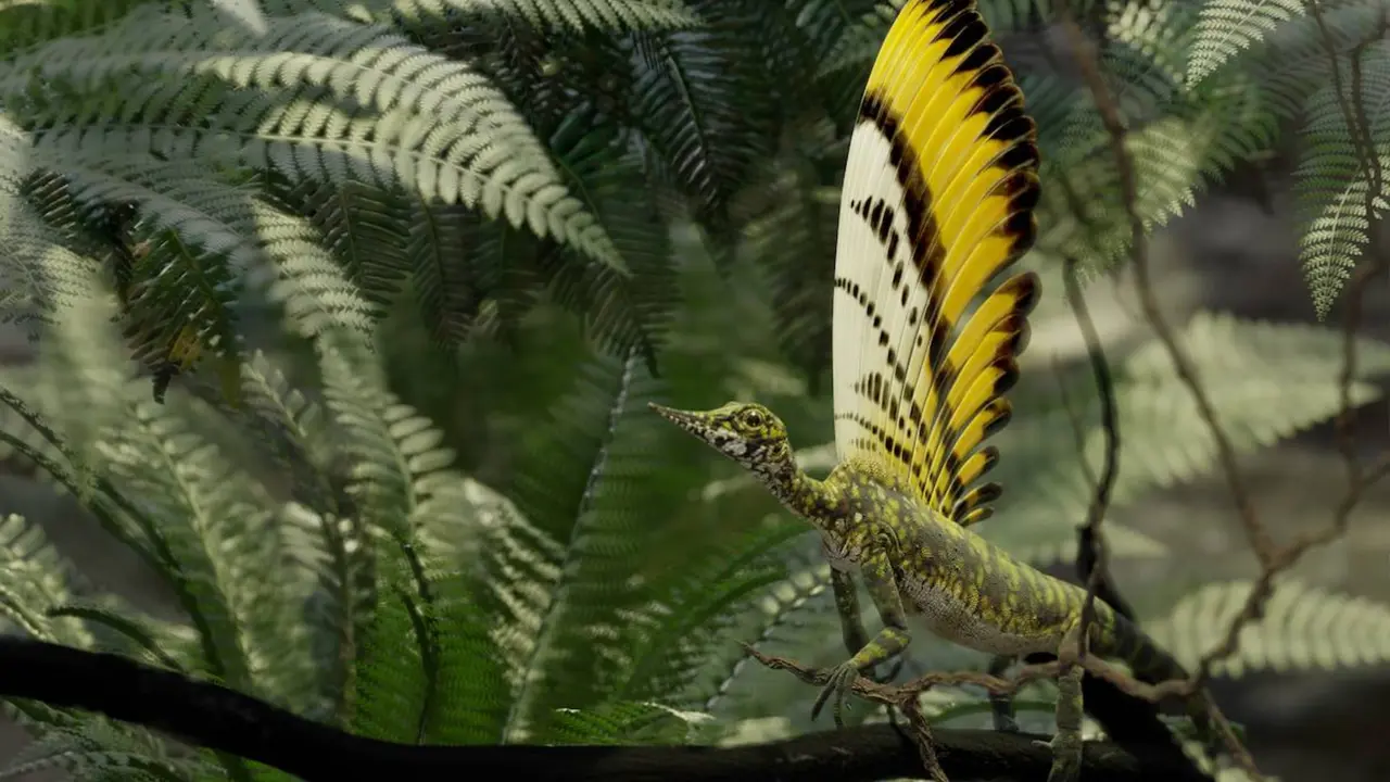 Mirasaura grauvogeli, un reptil del Tri&aacute;sico con una cresta dorsal con forma de plumas. / Rick Stikkelorum - SINC