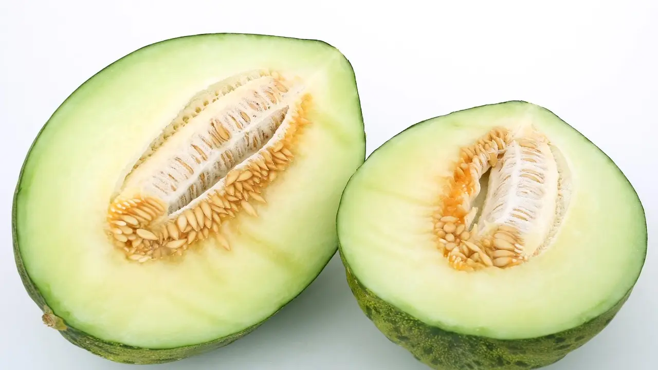 Mel&oacute;n. / RR SS.