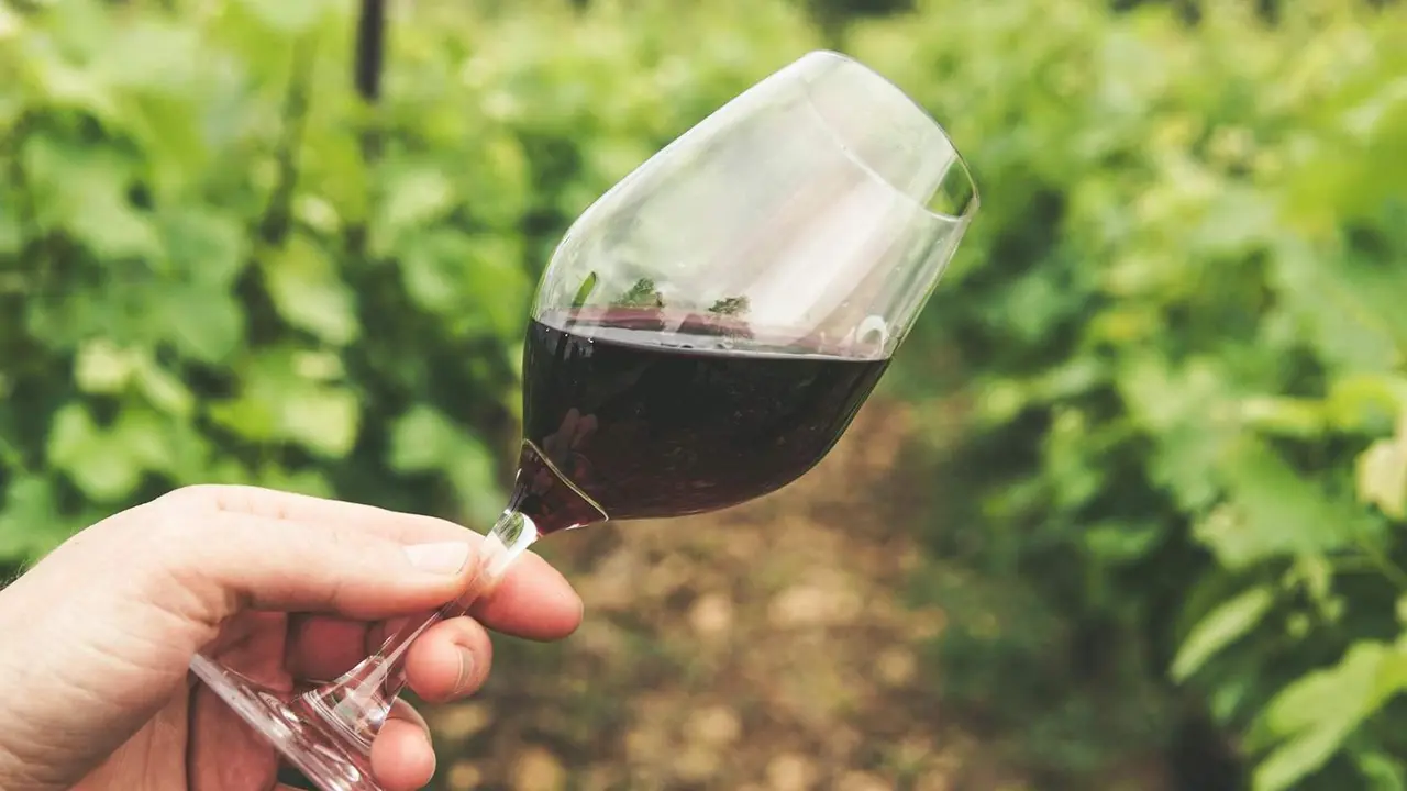 Copa de vino. / Grape Things en Pexels
