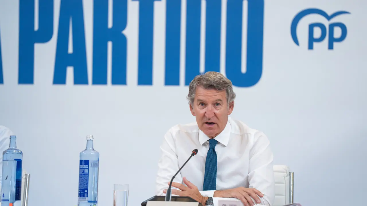 Alberto N&uacute;&ntilde;ez Feij&oacute;o, presidente del PP. / Partido Popular.