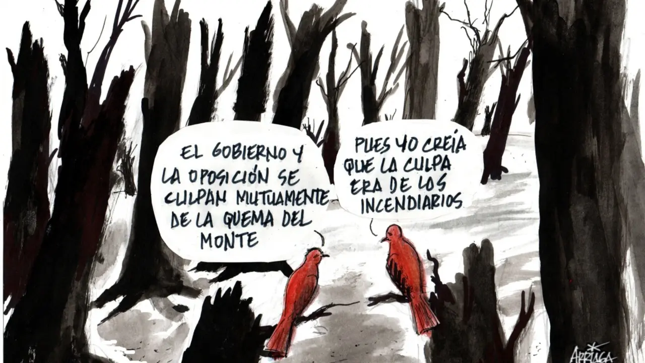 Incendiarios. / Manuel Arriaga