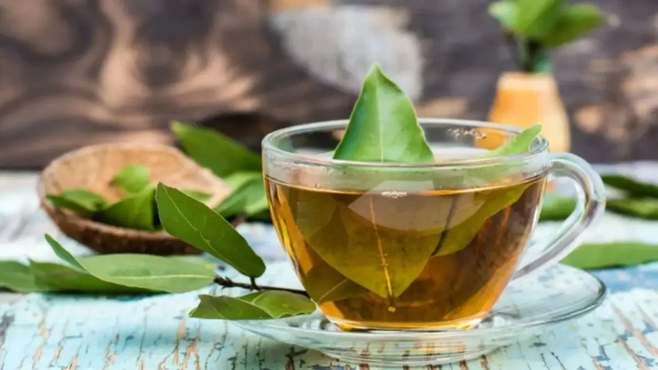 T&eacute; de laurel. / RR. SS.