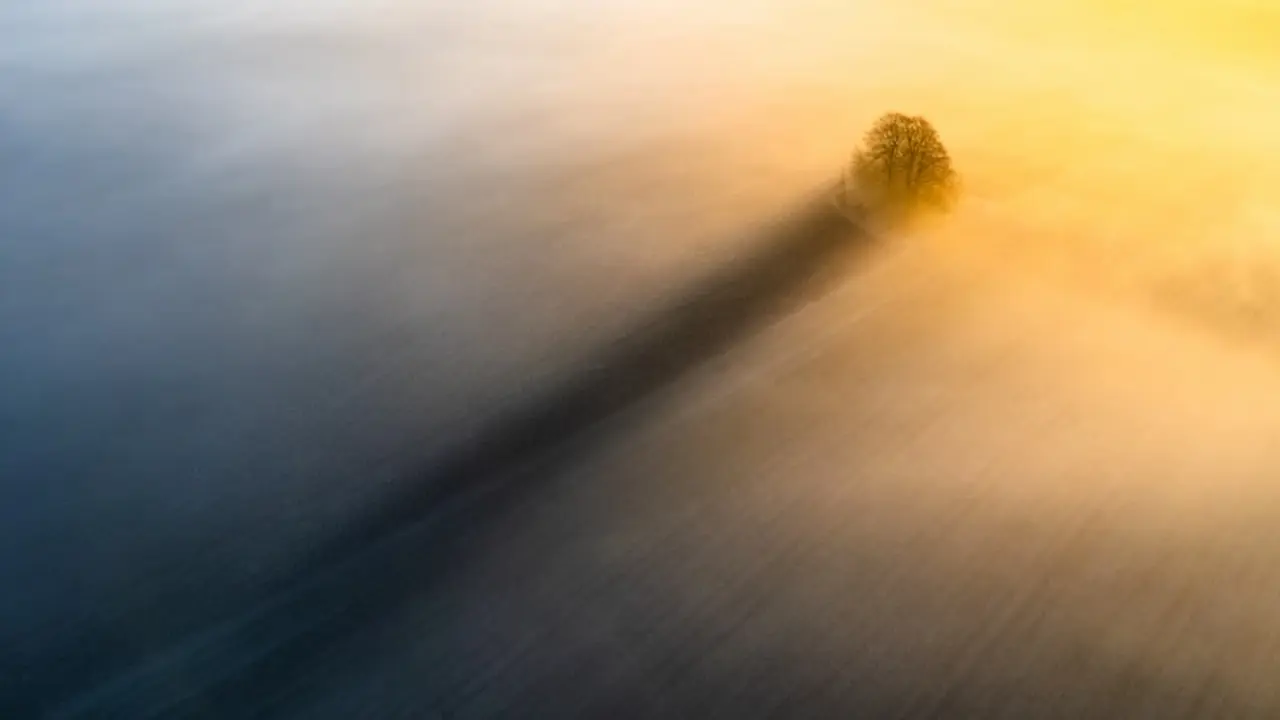 Drone Photo Awards 2025, Naturaleza, Primer clasificado, La larga sombra / Christopher Harrison