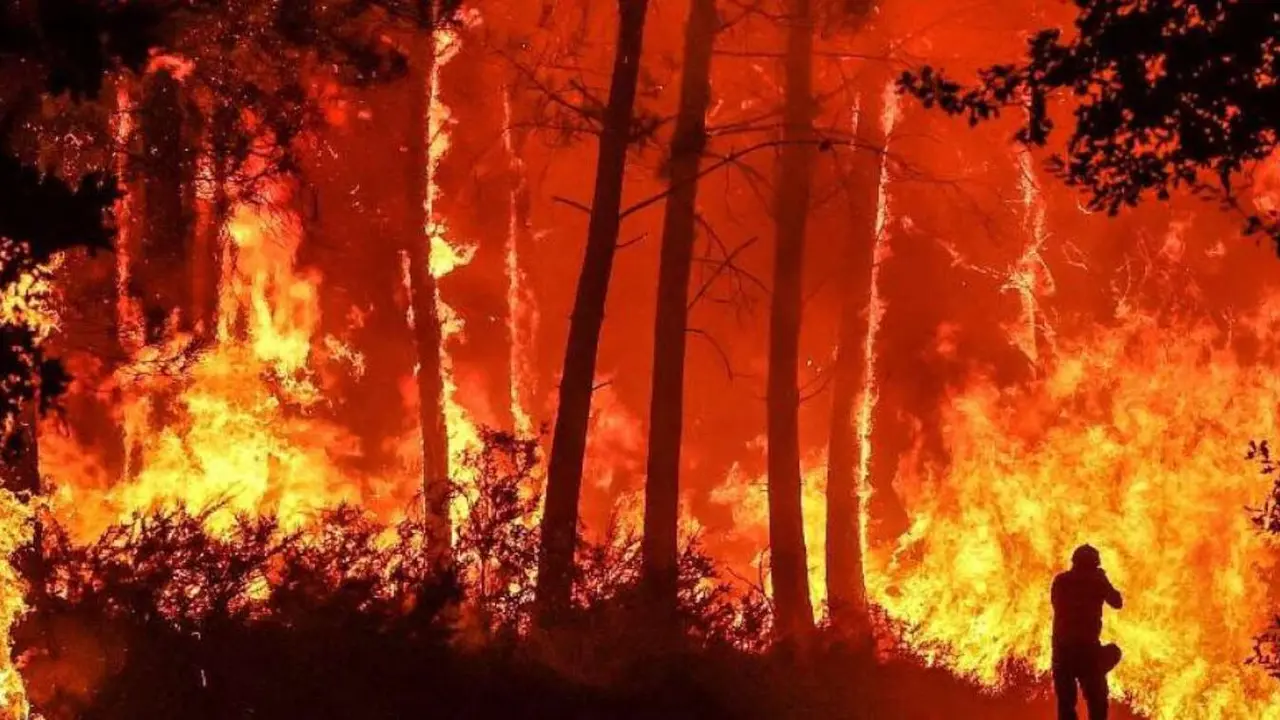 Un incendio forestal. / RR. SS.
