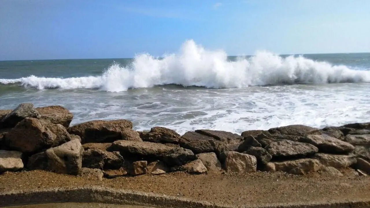 Olas. / RR. SS.