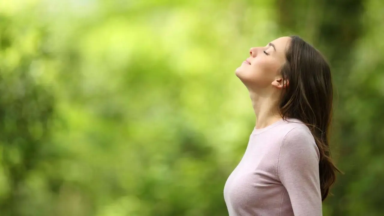 Los 6 principios para transformar tus ma&ntilde;anas y vivir un d&iacute;a consciente. / RR. SS.