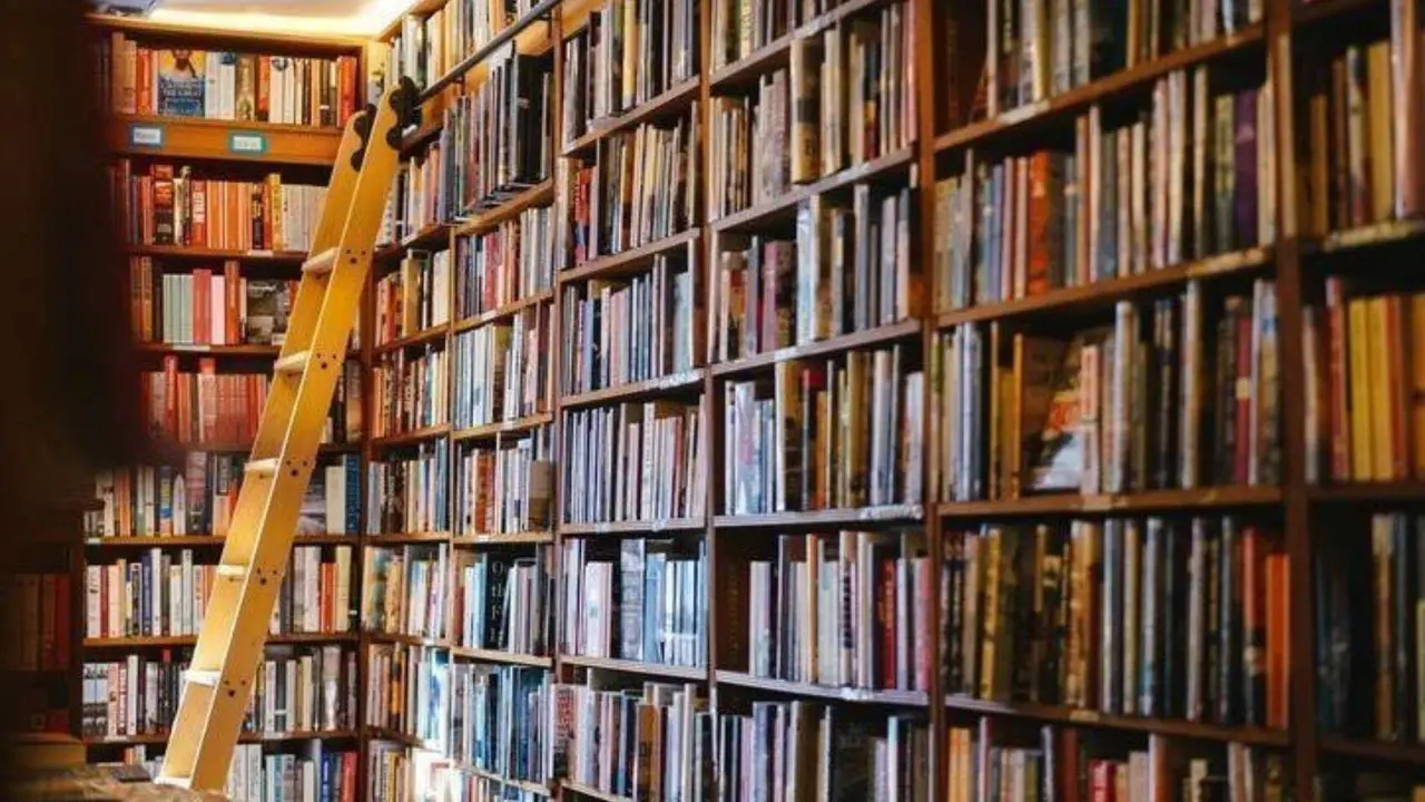 Una librer&iacute;a. / RR. SS.