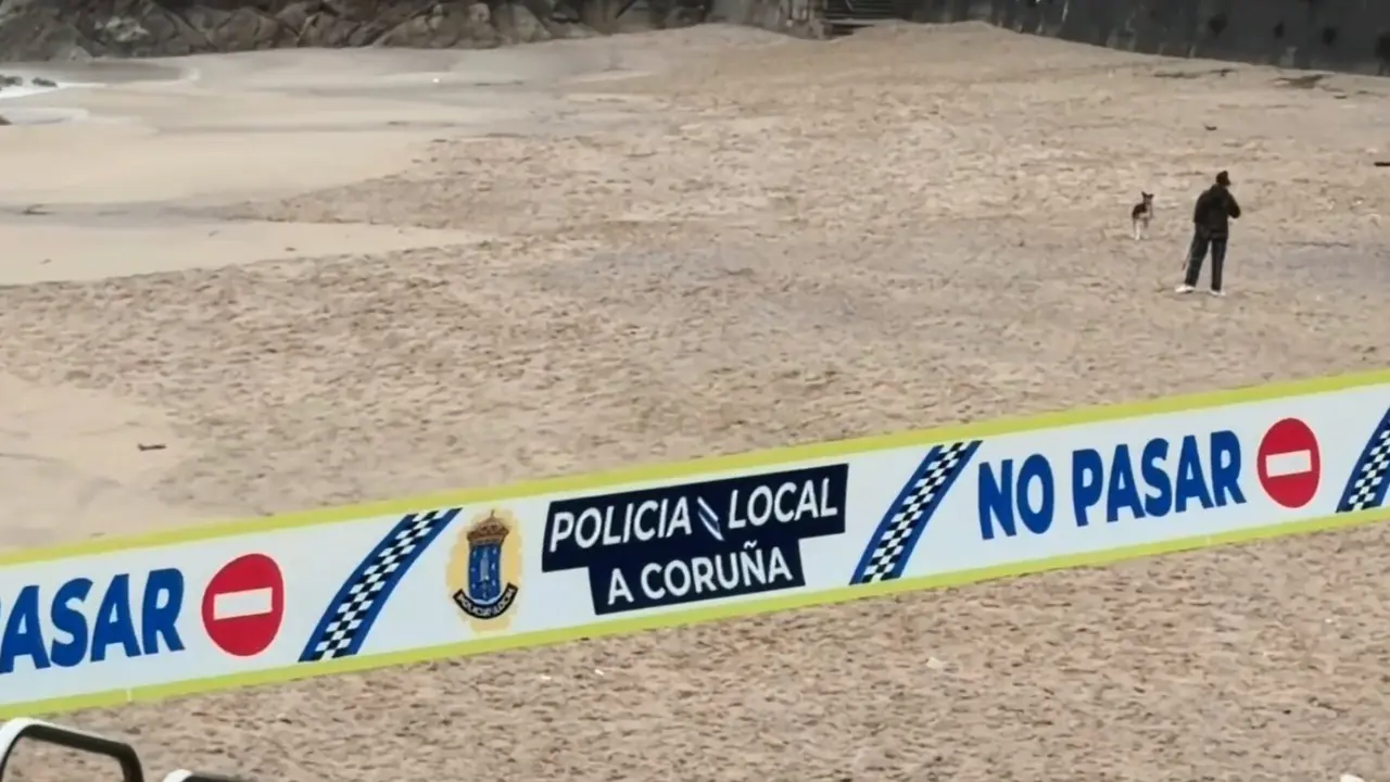 Las mascotas en las playas de A Coru&ntilde;a. / Mundiario.