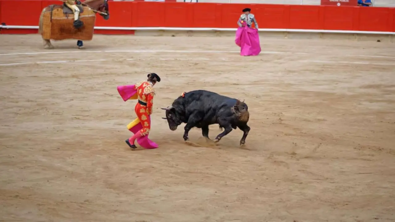 Espect&aacute;culo taurino. / Freepik.