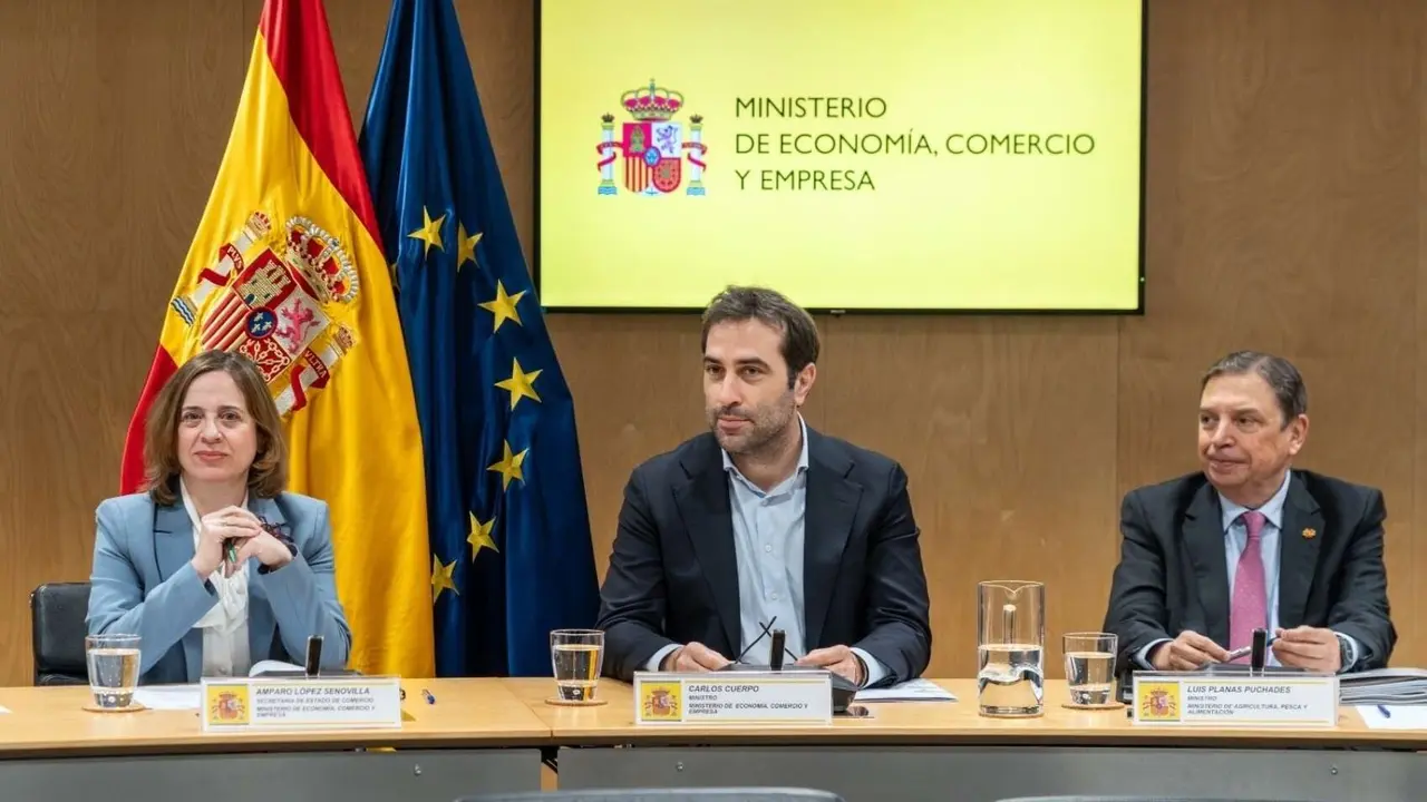 El ministro de Econom&iacute;a, Comercio y Empresa, Carlos Cuerpo, preside el Consejo Asesor de Asuntos Econ&oacute;micos este lunes en la sede del Ministerio. / @carlos_cuerpo.