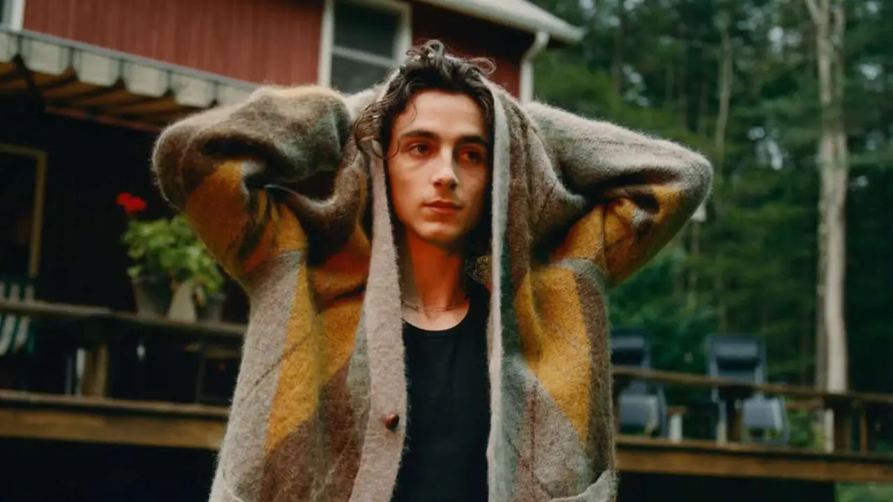 Timoth&eacute;e Chalamet. / Instagram: tchalamet