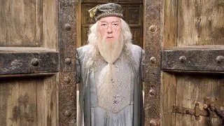 Albus Dumbledore. / Per&uacute; 21