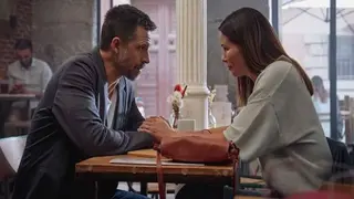 Pollos sin cabeza, serie.  Seri&eacute;filos