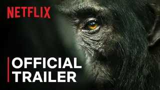 El imperio de los Chimpanc&eacute;s, documental de Netflix