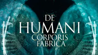 El documental franco-suizo que muestra la anatomia humana / Filmin
