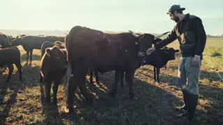 Farm Rebellion. / Disney Plus