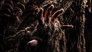 El hombre del saco, teaser./ RRSS