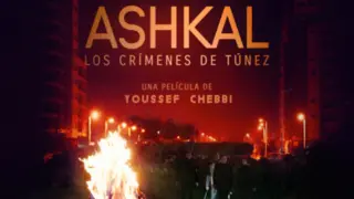 Ashkal. / Flamingo