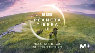 BBC Earth, Planeta tierra./ Movistar Plus
