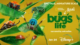 Bichos: la verdadura aventura finalmente llega a Espa&ntilde;a. / Disney Plus