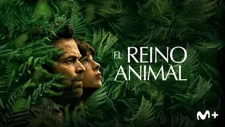 El reino animal, teaser. / Movistar Plus+