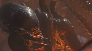 Alien: Romulus. / RRSS