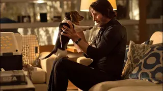 John Wick, pel&iacute;cula. / IMDb