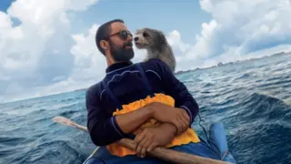 Pets. / Disney Plus
