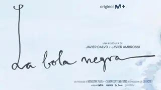 P&oacute;ster de La bola negra. / Movistar Plus+
