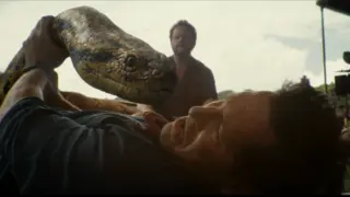 Anaconda. / RRSS