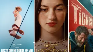 P&oacute;ster de Hasta que me quede sin voz, Los Domingos y Los Tigres. / Movistar Plus+