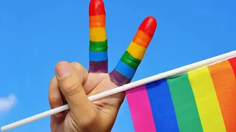 Bandera de los homosexuales. / RR SS.