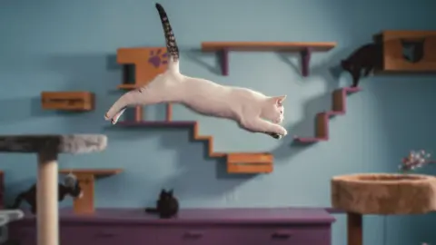 Imagen promocional de Inside the Mind of a Cat. / Netflix